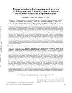 Role of morphological structure and layering of Sphagnum and