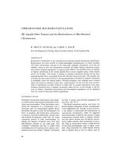 CHROMOSOME MICROMANIPULATION III. Spindle Fiber Tension