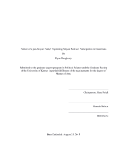 Failure of a pan-Mayan Party? Explaining Mayan Political