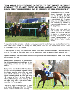 team valor buys streaking 5-length 2yo filly winner in france