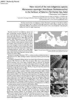 New record of the non-indigenous species Microcosmus
