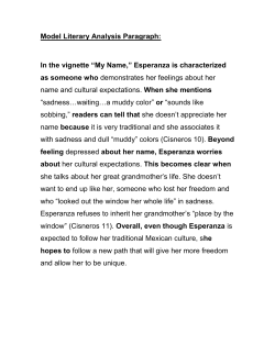 Model Literary Analysis Paragraph: In the vignette &ldquo;My Name
