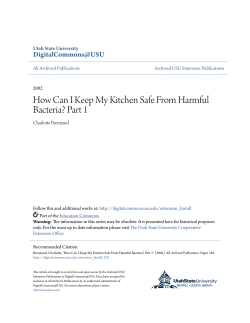 How Can I Keep My Kitchen Safe From Harmful Bacteria? Part 1