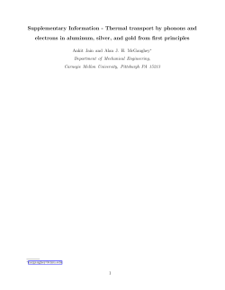 Supplementary Information