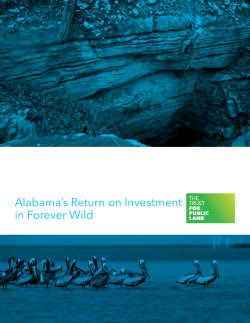 Alabama`s Return on Investment in Forever Wild