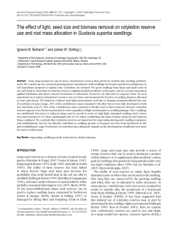 The effect of light, seed size and biomass removal on