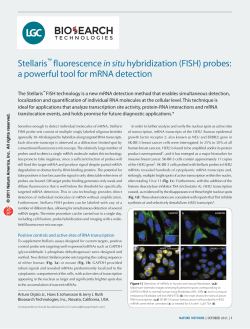 Stellaris™ fluorescence in situ hybridization (FISH