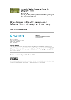 Strategies used by the saffron producers of Taliouine (Morocco) to