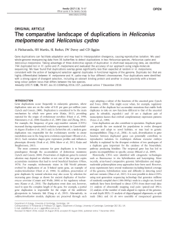The comparative landscape of duplications in Heliconius