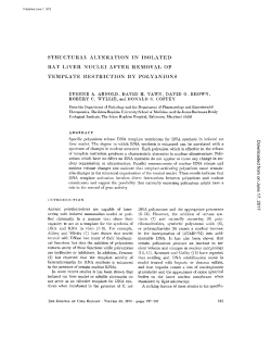 STRUCTURAL ALTERATION IN ISOLATED RAT LIVER NUCLEI