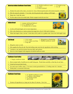 Sunflower Recipes - Southeastern Archaeological Conference