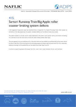415. Sartori Runaway Train/Big Apple roller coaster braking system