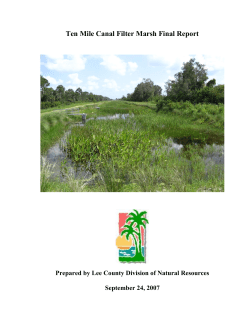 Ten Mile Canal Filter Marsh Final Report