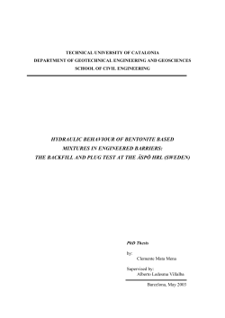 HYDRAULIC BEHAVIOUR OF BENTONITE BASED MIXTURES IN