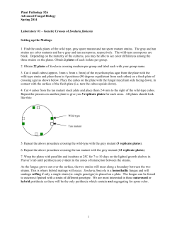 PLP526-2014-Sordaria Crossing Lab Protocol and Questions