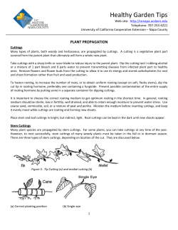 Plant Propagation