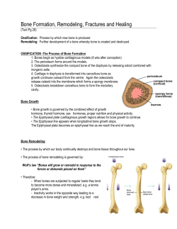 Bone Formation, Remodeling, Fractures and Healing
