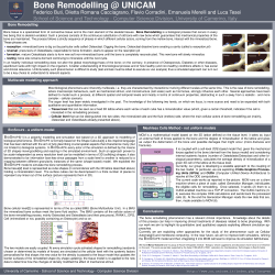 Bone Remodelling - UniCam - Computer Science Division
