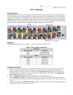 DNA Molecule - District 196 e