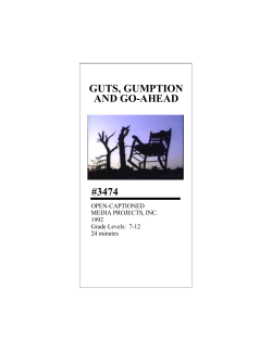 3474 TITLE GUTS, GUMPTION, AND GO-AHEAD