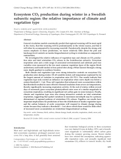 Ecosystem CO2 production during winter in a Swedish subarctic