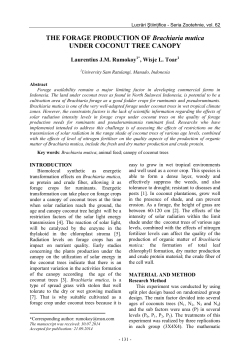 THE FORAGE PRODUCTION OF Brachiaria mutica UNDER