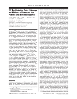 TCE Dechlorination Rates, Pathways, and Efficiency of