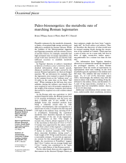 Occasional pieces Paleo-bioenergetics: the metabolic rate of
