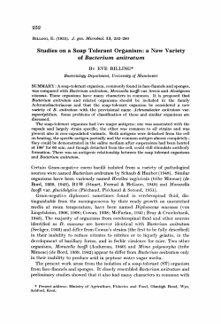 Studies on a Soap Tolerant Organism: a New Variety