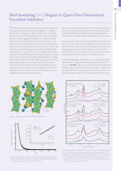 Mott Insulating S = 1 Magnet in Quasi-One-Dimensional