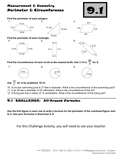 Extra Practice Measurement and Geometry