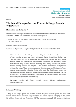 The Role of Pathogen-Secreted Proteins in Fungal Vascular Wilt