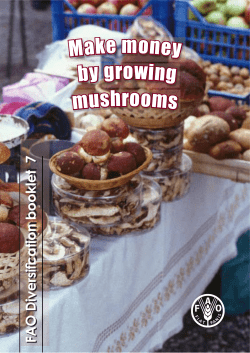 Make money by growing mushrooms