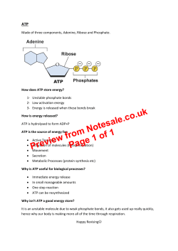 Preview from Notesale.co.uk Page 1 of 1