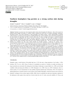 Southern hemisphere bog persists as a strong carbon sink during