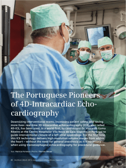 The Portuguese Pioneers of 4D-Intracardiac Echo