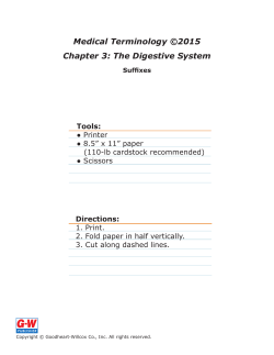 Chapter 3 Suffixes E-Flash Cards