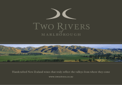 Handcrafted New Zealand wines that truly reflect