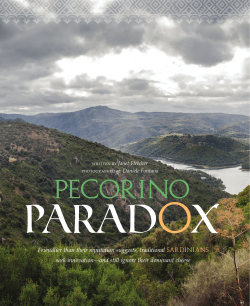 pecorino - Janet Fletcher