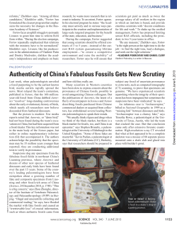 Authenticity of China`s Fabulous Fossils Gets New Scrutiny