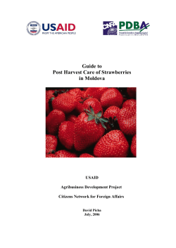 Guide to Post Harvest Care of Strawberries in Moldova