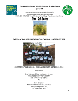 TRAINING PROGRESS REPORT - The System of Rice Intensification