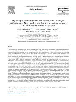 Mg-isotopic fractionation in the manila clam (Ruditapes philippinarum)