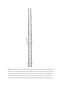 Figure S5. Metaphase chromosomes of Kryptolebias
