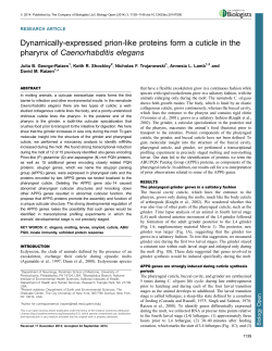 Dynamically-expressed prion-like proteins form