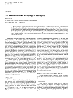 The nucleoskeleton and the topology of transcription