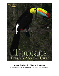 Avian Models for 3D Applications