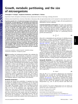 Growth, metabolic partitioning, and the size of microorganisms