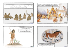 Stone Age Image Cards