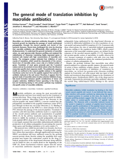 The general mode of translation inhibition by macrolide antibiotics
